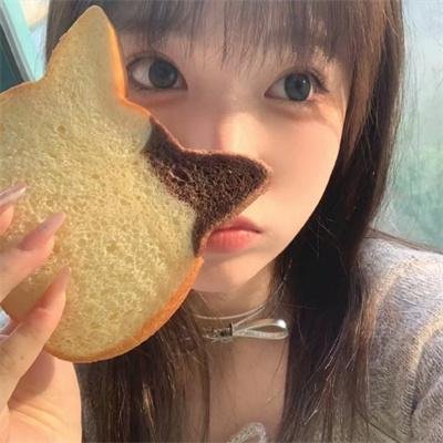 报告王爷，王妃是只猫2