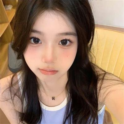 木材宝藏狗